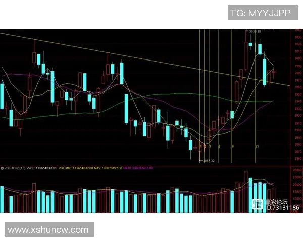 武汉羽毛球队与深圳羽毛球队赛后复盘分析比赛节奏与战术对比