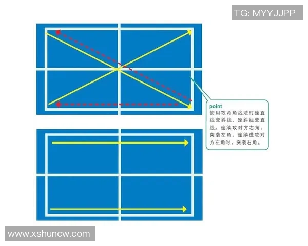 南京乒乓球队反击战术解析与实战应用探讨