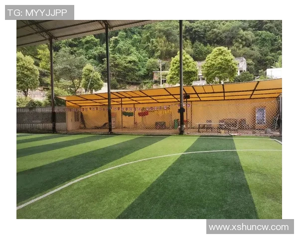 贵阳足球明星盘点他们如何在绿茵场上闪耀光芒