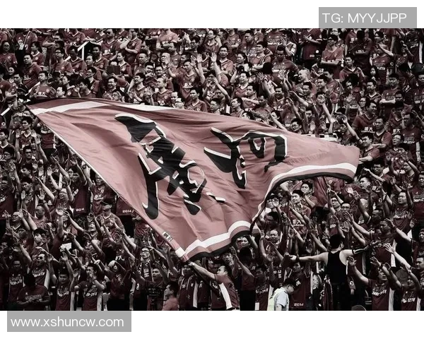 广州排球队实力之争引发热议球迷观点各异探讨未来发展方向