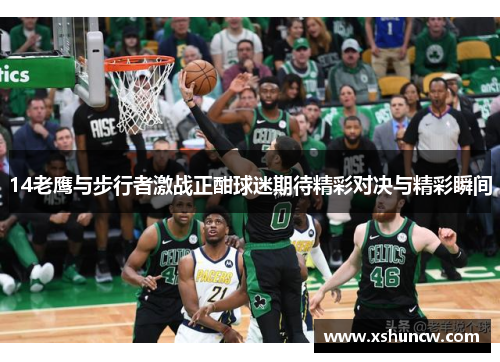 14老鹰与步行者激战正酣球迷期待精彩对决与精彩瞬间